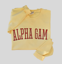 Alpha Gam Arched Letter Sweatshirt