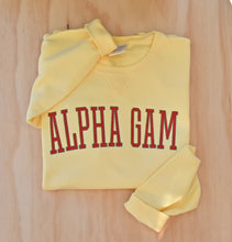 Alpha Gam Arched Letter Sweatshirt